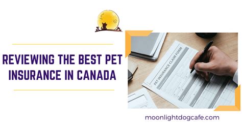 best canadian pet insurance